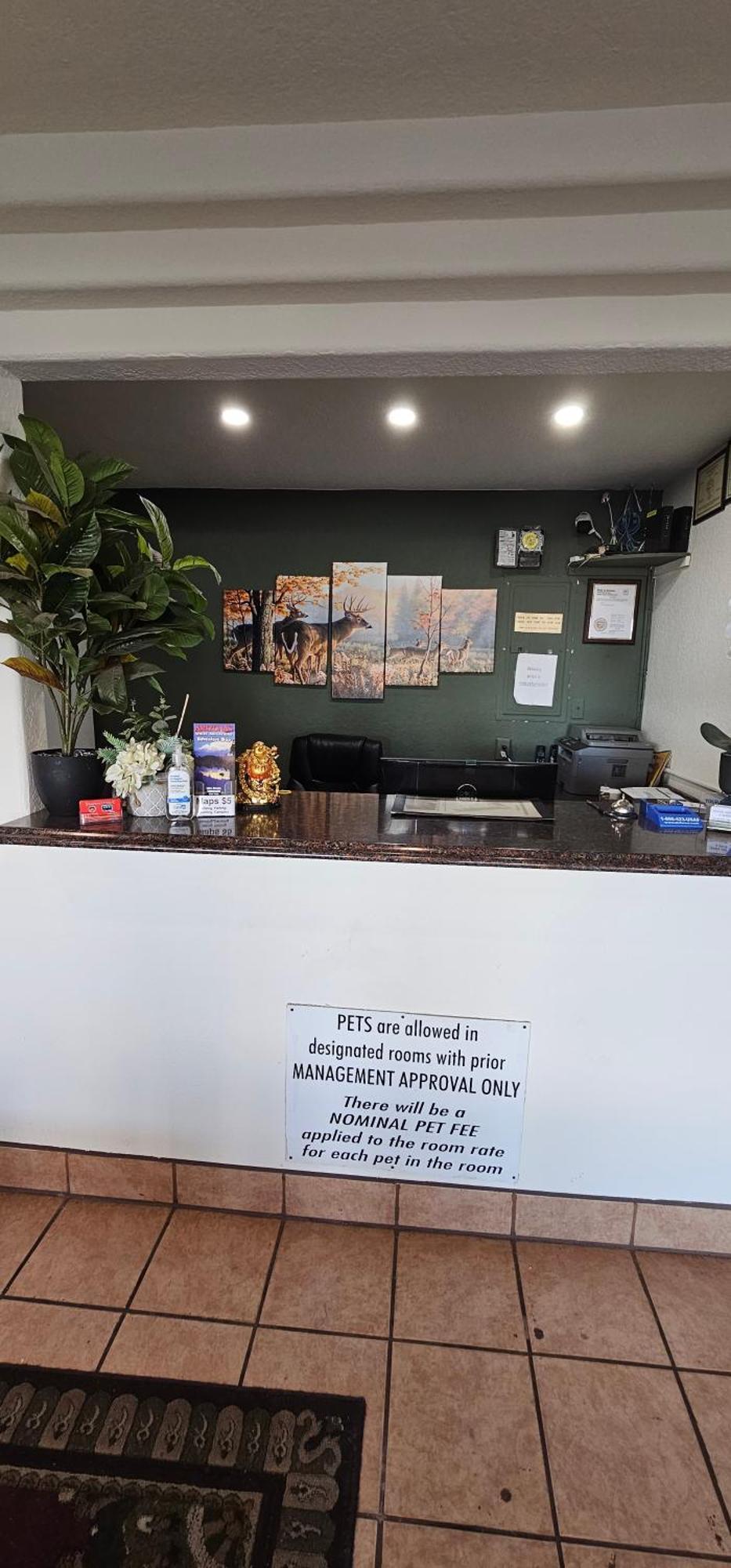 Travel Inn & Suite Springerville Экстерьер фото